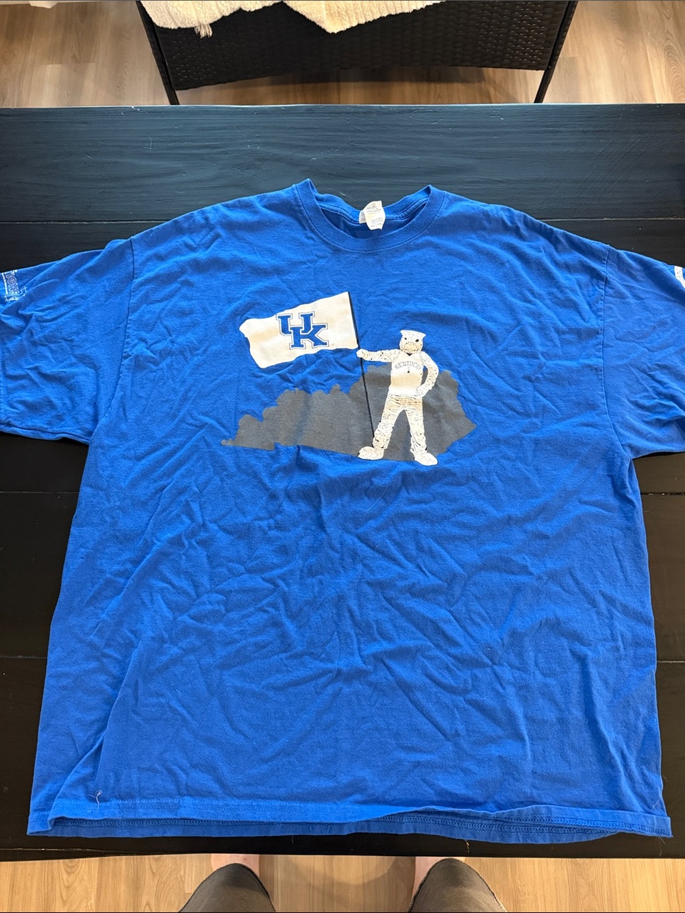 Gildan Royal Blue University Graphic Short-Sleeve T-Shirt
